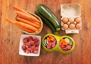natural, organic dog's food in a bowl with ingredients zucchini, carrot, eggs and raw meat